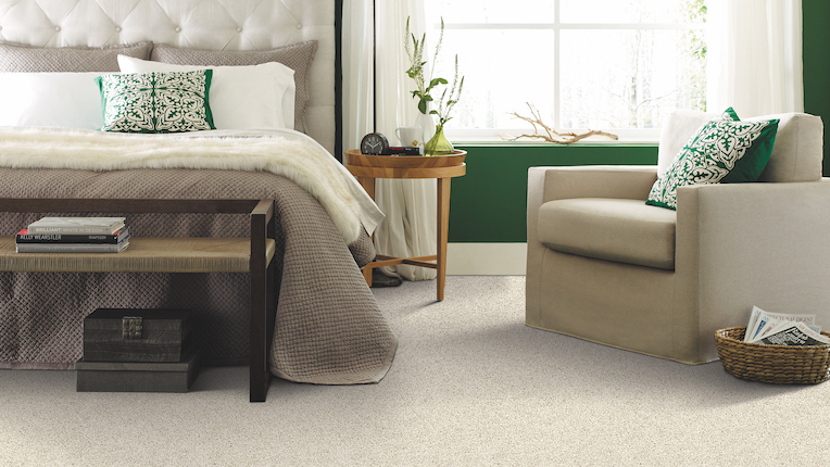 cozy carpet in a bedroom