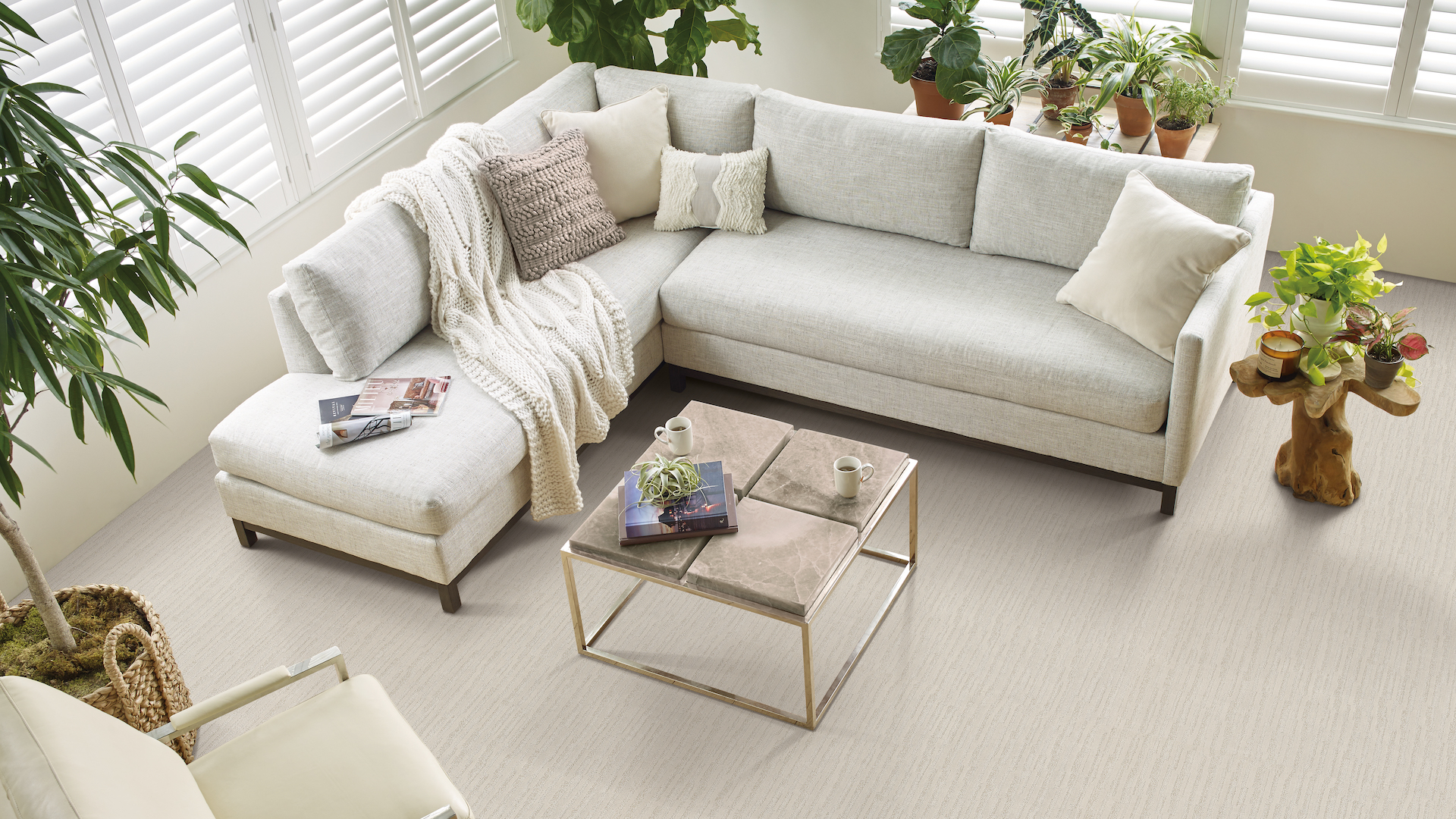 soft white carpets in an earth toned living room