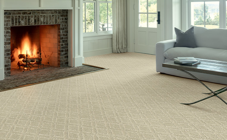 carpet and fireplace